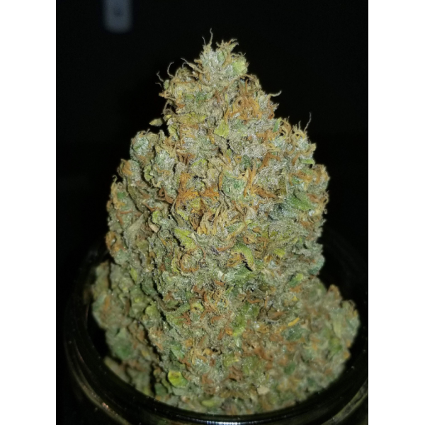 Fastbuds 420, Zkittlez Auto, nasiona konopi