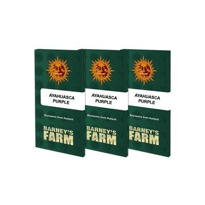 Acapulco Gold, Barney's Farm, nasiona konopi Acapulco Gold, Barney's Farm, nasiona konopi