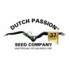 Dutch Passion
